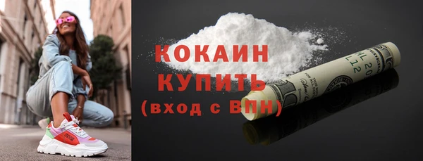 мдпв Майский