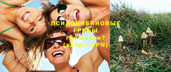 стафф Магас