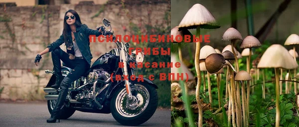 мдпв Майский