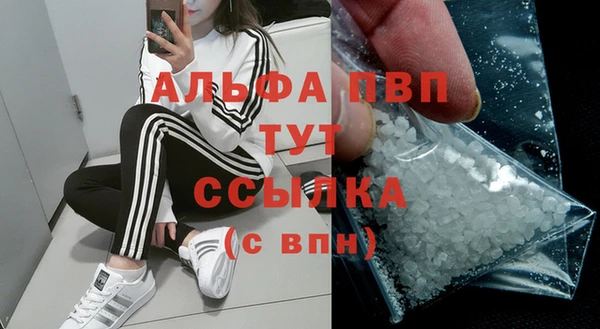 стафф Магас