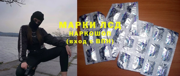 стафф Долгопрудный