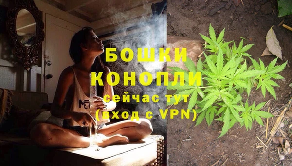 стафф Магас